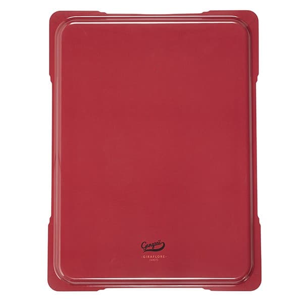 Gangzai Giraflore Tray - Image 2