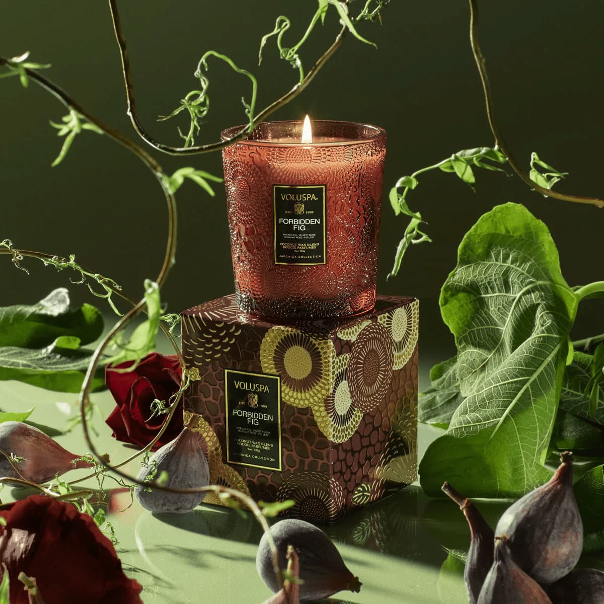 Voluspa Forbidden Fig Classic Candle - Image 3