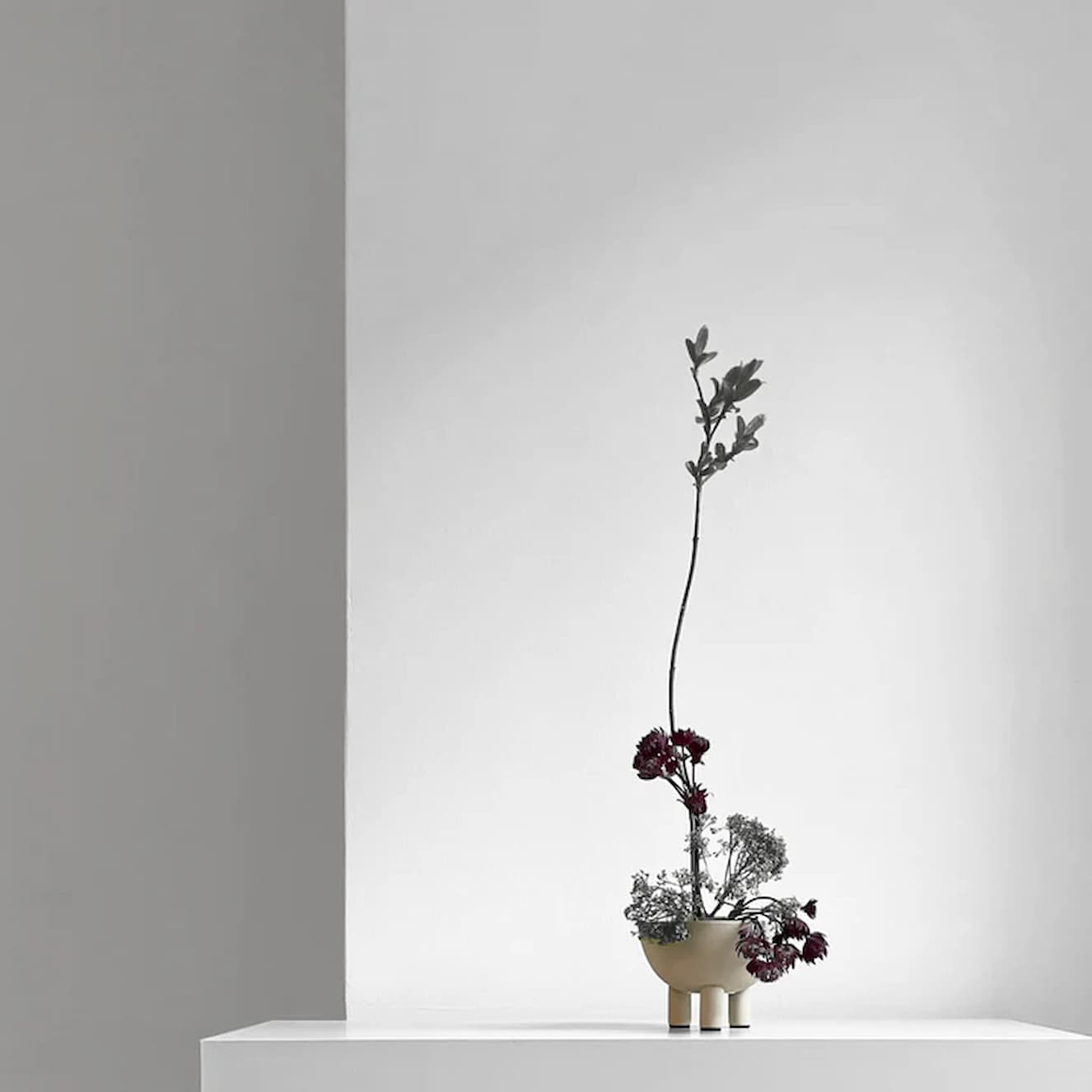 101 Copenhagen Duck Bowl Mini Sand - Image 3