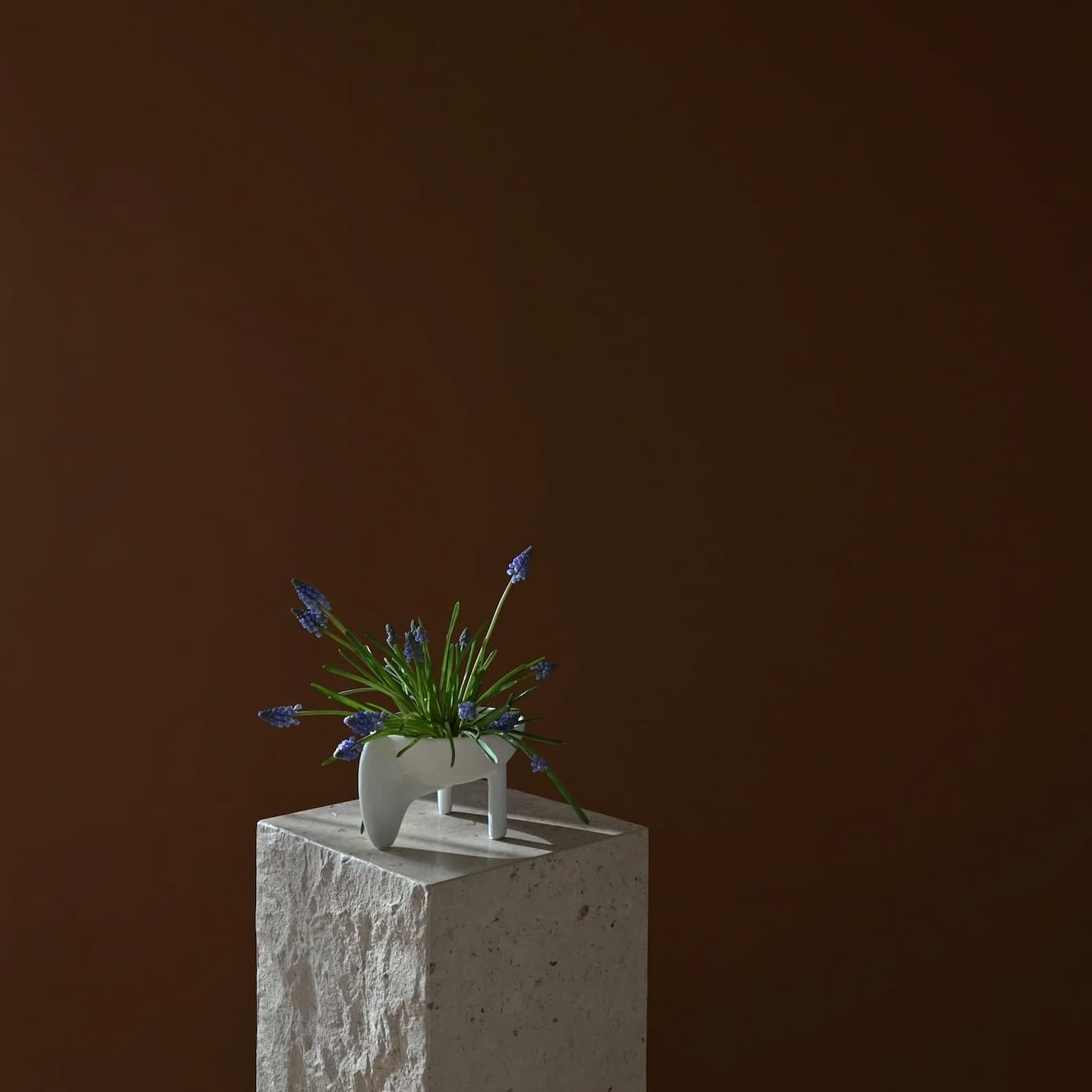 101 Copenhagen Wing Bowl Mini Bone White - Image 5