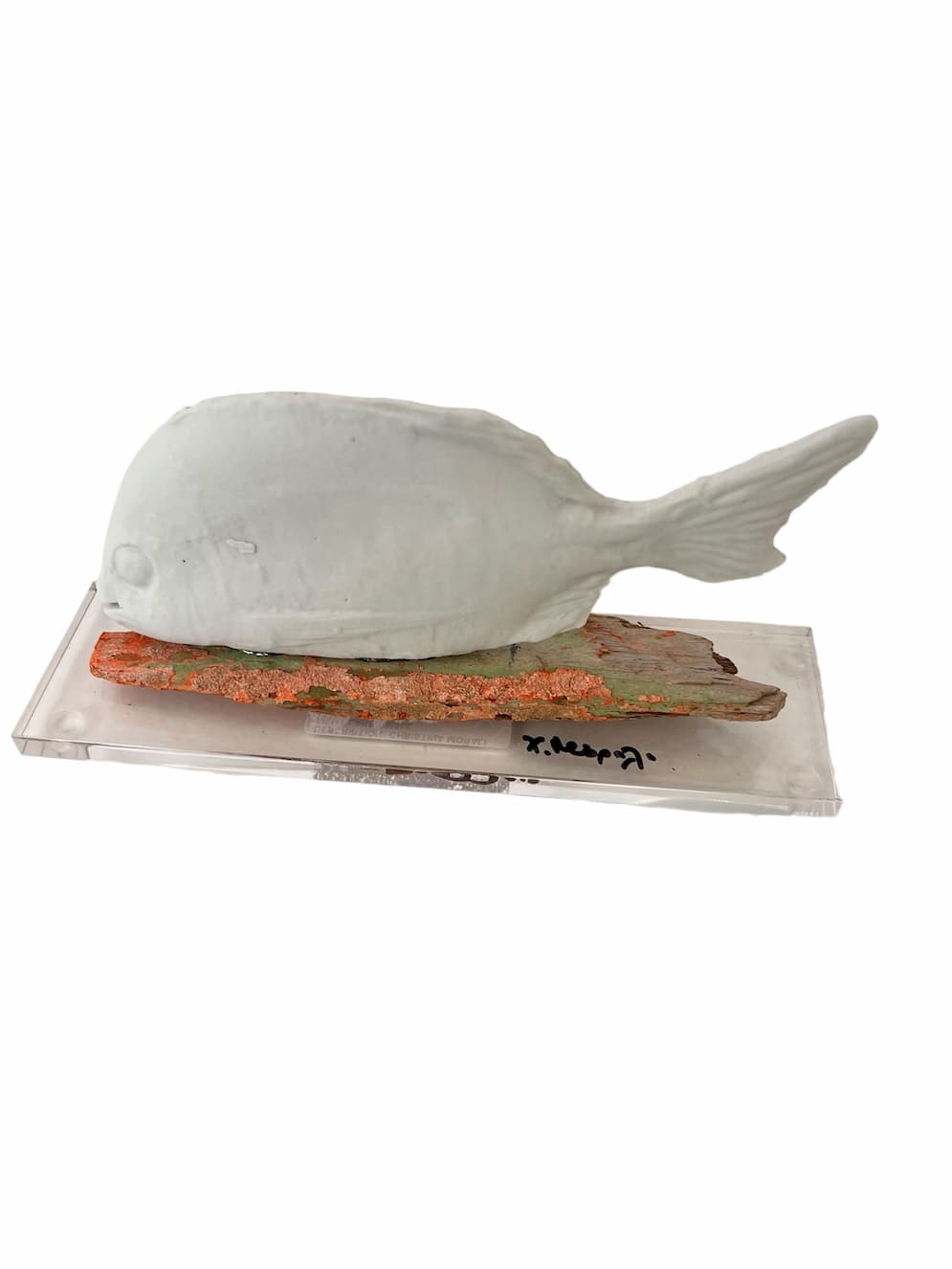 Christina Morali Fish Plexi Glass - Image 4