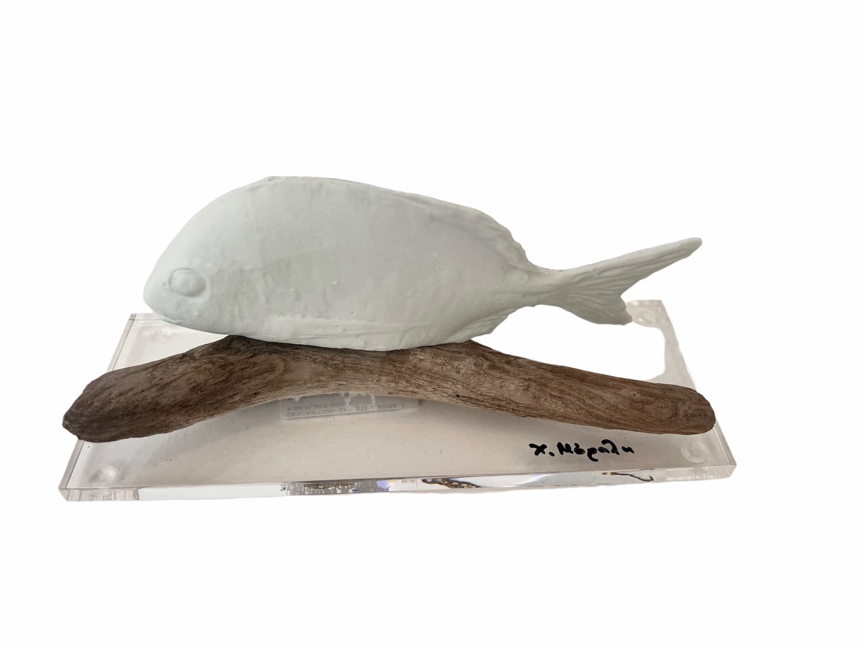 Christina Morali Fish Plexi Glass - Image 2