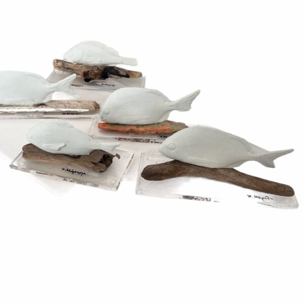 Christina Morali Fish Plexi Glass