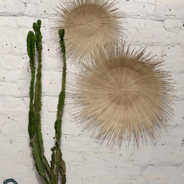 Benu Sun Wall Plates