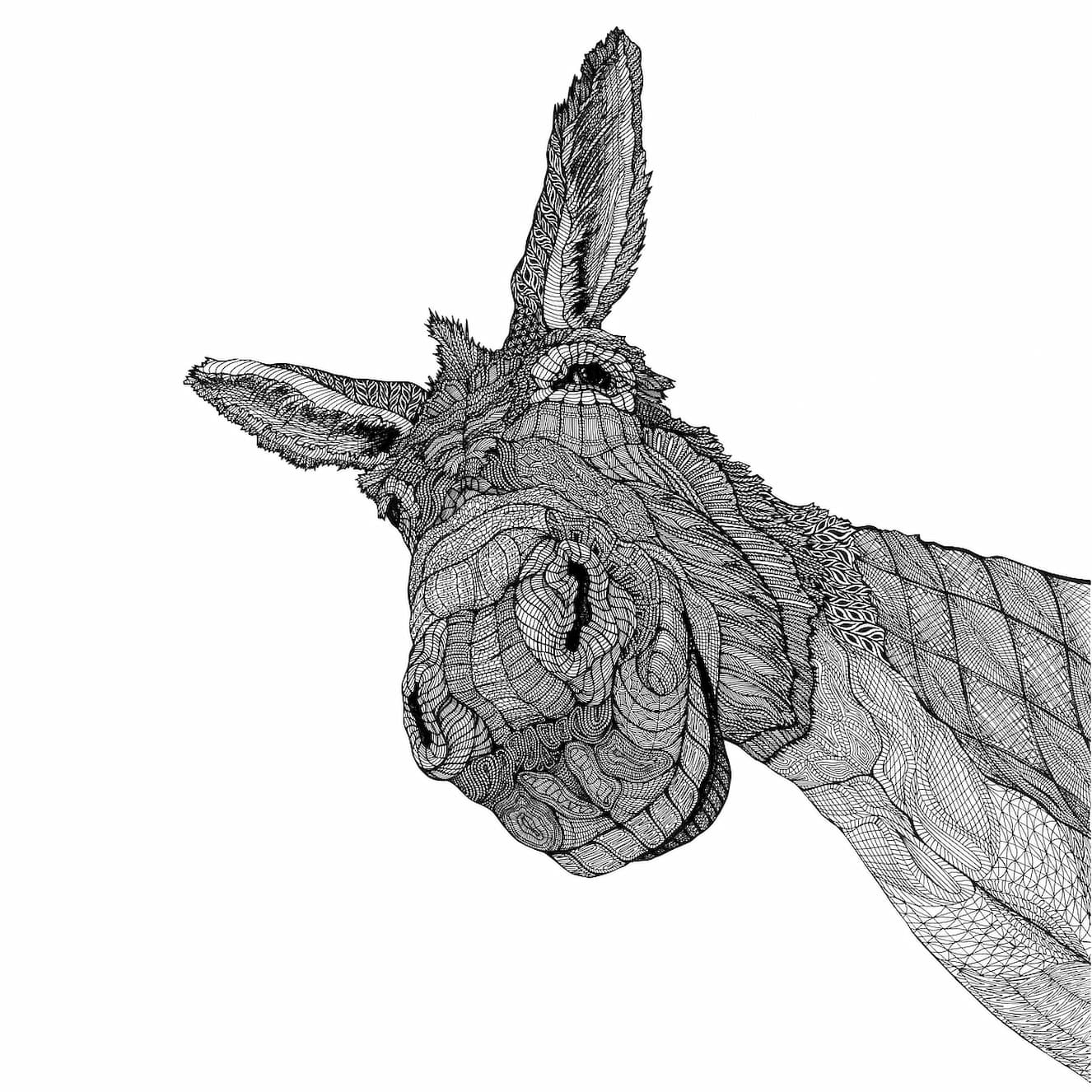 Δelta Kappa Design Donkey T-shirt - Image 2